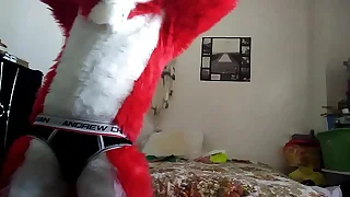 101 male on male porn videos